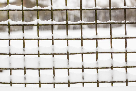 Fence a metal grid was covered first snow close upの写真素材