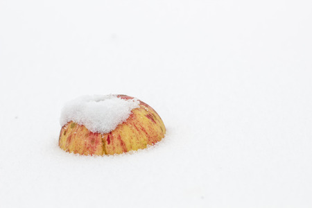Red a fresh apple in the first fluffy the snow close-upの写真素材