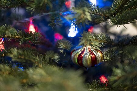 Beautiful multi-colored glass toy on a Christmas tree with a garland, on a blurred background.の写真素材