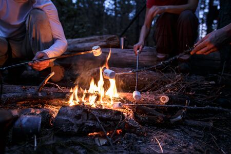 Friends frying sweet marshmallows over a campfire, on a summer evening, in the forest, against a background of trees and sky.の写真素材