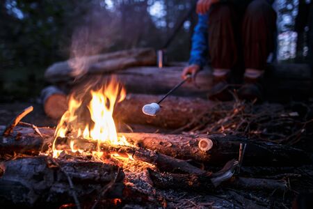 Tasty, sweet marshmallow on a special stick is fried by a woman over a campfire, on a summer evening, in the forest, against a background of trees.の写真素材