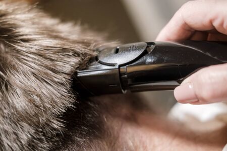 Female hand does cut hair on a mans head with a trimmer. Getting groomed.の写真素材