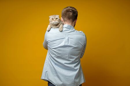 Sad cat, Scottish Fold, sits on the owner shoulder and looks at the camera. Concept of love for pets.の写真素材
