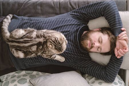 Attractive Caucasian man sleeps on a sofa, and his charming cat lies on his chest in natural light....