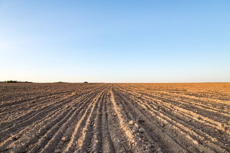 Rural landscape. Agricultural land, recently plowed and prepared for sowing a field, against the blue sky, at sunset.の写真素材
