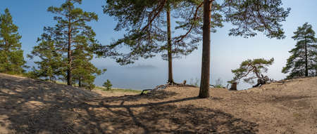 Beautiful morning landscape. Sandy shore with pine trees and a lake in fog, with a barely visible island, at dawn. Wonderful view.の写真素材