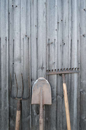 Gardening tools, shovel, rake and pitchfork stand against an old wooden barn wall, in a village courtyard. Copy space.の写真素材