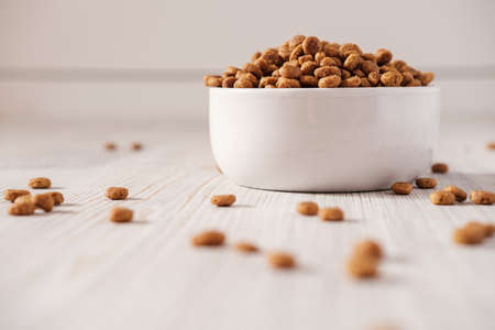 Dry pet food is in a white porcelain bowl and scattered on the floor.の写真素材