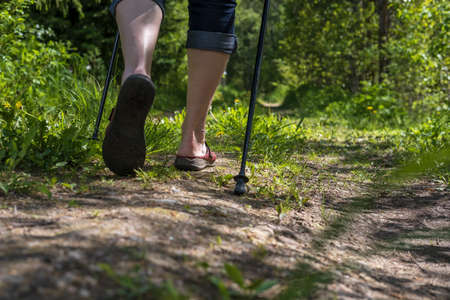 Female legs with Nordic walking sticks, outdoors. Concept of a healthy lifestyle.の写真素材
