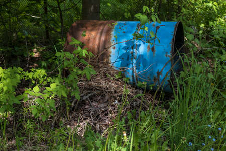 Barrel ejected and grown into the ground in an abandoned private property. Concept of irresponsible attitude to the environment.の写真素材