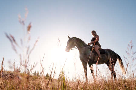 Young woman riding a horse on a hill, in a meadow, at sunset. Bottom view.の写真素材