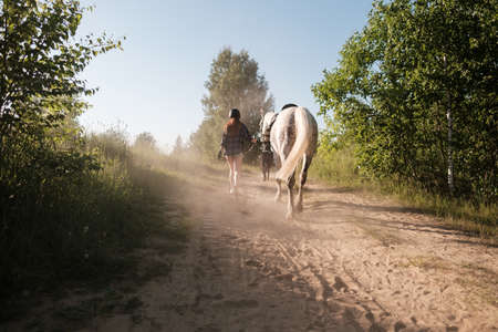 Woman in a helmet walks with her horse along a dusty sandy road, holding her by the bridle, at sunset, against the background of the sky.の写真素材
