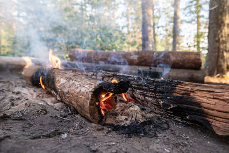 Campfire, smoldering logs and a small flame in the camp, in the forest, on a summer day.の写真素材