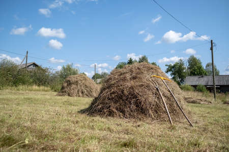 Haystack with a tool for the collection of dry grass, rakes and forks, on the background of the rural landscape. Rural lifestyle.の写真素材