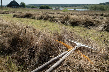 Dried grass clippings and rakes to collect hay, in the beautiful countryside landscape. Rural lifestyle.の写真素材