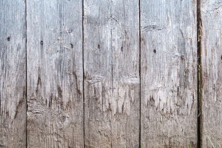 Wooden background from dry boards. Copy space. Wall of an old barn. Close-up.の写真素材