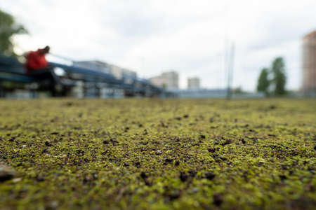 Surface of the volleyball court is spoiled and covered with moss, outdoors.の写真素材