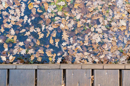 Autumn, fallen leaves in the water of the stream and part of the wooden bridge, in the park, outdoors.の写真素材