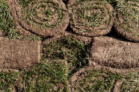Lawn of green grass and soil is rolled into rolls, the turf is in a pile ready for sod. Close-up.の写真素材