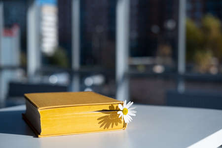 Closed yellow book with a bookmark with a chamomile flower lies on a table in a cafe, against a blurred background of a shop window.の写真素材