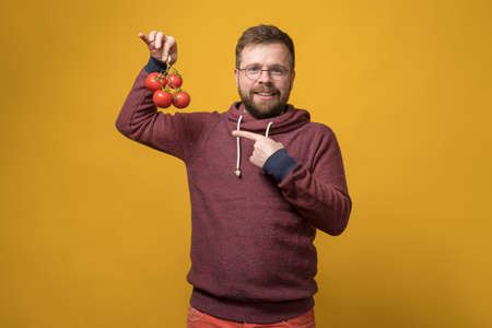 Satisfied, smiling bearded man with glasses holds a branch of red ripe tomatoes in hand and points at it with index finger.の写真素材