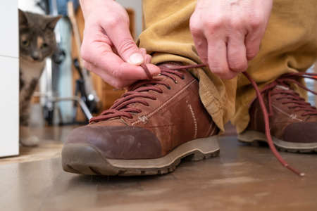 Hands are tying the shoelaces on the shoes, next to an interested cat, which is watching the process. Close-up.の写真素材