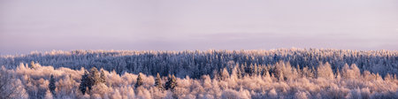 Wonderful winter scenery. Beautiful snowy forest, with a small church among the trees, against the backdrop of a frosty sky. Panorama.の写真素材