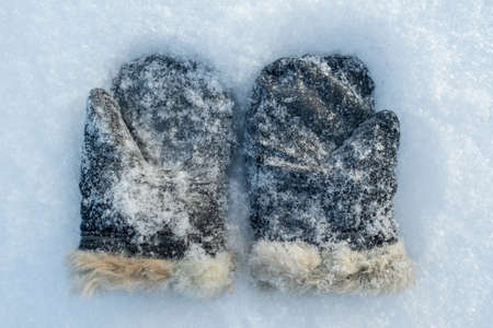 Snow-covered retro mittens, suede with natural fur on the snow, on a frosty winter day. Top view.の写真素材