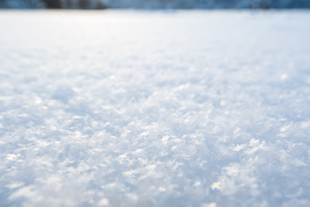 Beautiful crystals of snowflakes glow in the rays of the sun, on fluffy snow, on a frosty day, on a...