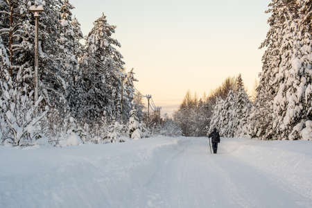 Man walks along a rural road, cleared of snow, passing through a snow-covered forest. Wonderful...