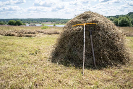 Stack of hay with forks and a rake, against the backdrop of a beautiful rural landscape, on a summer sunny day. Village lifestyle.の写真素材