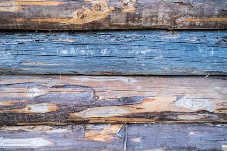 Wall of an old wooden log house. Copy space.の写真素材
