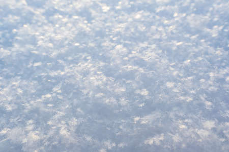 Beautiful crystals of snowflakes glow in the rays of the sun, on fluffy snow, on a frosty day. Copy space. Background.の写真素材
