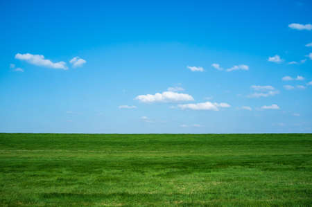 Wonderful rural landscape.Field with green fresh grass against a blue sky and white clouds, on a spring day. Beautiful picture.の写真素材