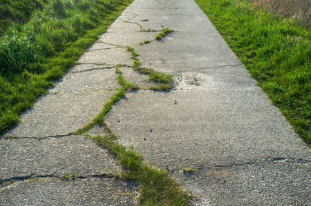 Old concrete path with cracks and overgrown with grass, used for cycling or walking.の写真素材