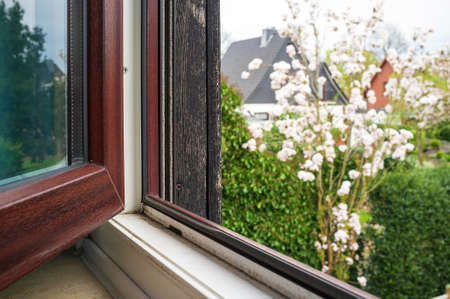Open pvc window, against which a flowering tree in the garden, in a provincial town.の写真素材