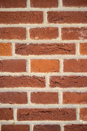 Brick wall can be used as background. Copy space. Vertical photo.