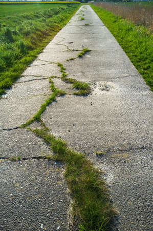 Old concrete path with cracks and overgrown with grass going through the fields, used for cycling or walking. Active lifestyle concept.の写真素材