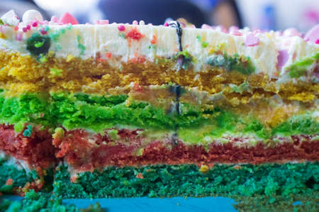 Tasty, appetizing piece of cake with multi-colored bright layered. Festive sweet dessert. Close-up.