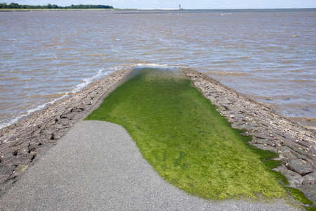 Shore with asphalt and a lawn, reinforced with stones from blurring, against the backdrop of the sea.の写真素材