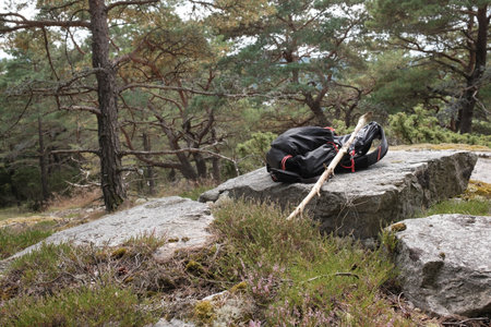 Ultralight backpack for hiking and next to it is a trekking pole made from a stick of wood.の写真素材