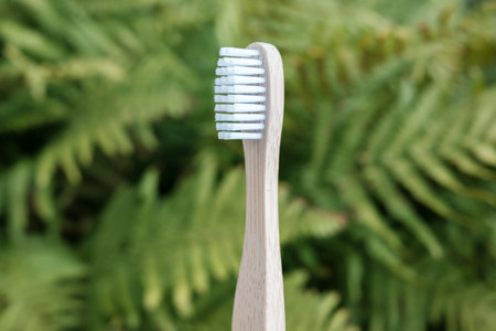 Biodegradable bamboo toothbrush on a blurred background of fern leaves. Environmental care concept.の写真素材