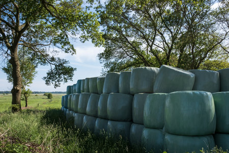 pile of packed hay near an agricultural field harvestedの写真素材