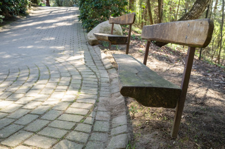 wooden benches in the park near a paved walking path with sunbeams