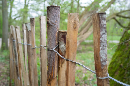 Fence made of wooden slats and twisted wire, against the backdrop of trees. Restriction of access to private property.の写真素材