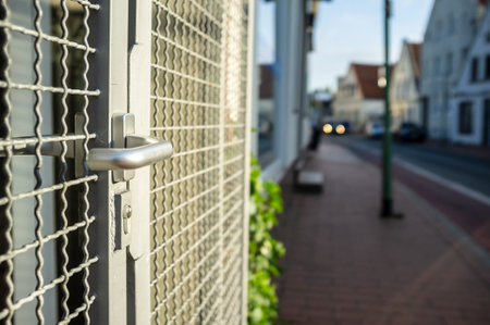Closed steel lattice gate with push handle and mortise lock protecting the door on a city street.