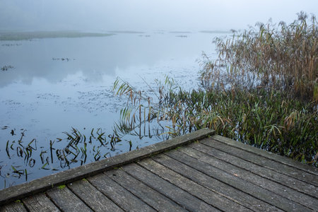 Wooden pier against the backdrop of a calm lake on a foggy morning, in autumn. Landscape.の写真素材