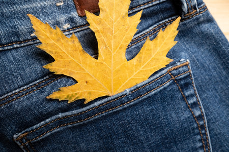 Yellow maple leaf in the back pocket of jeans, on a wooden shelf. Seasonal sale concept. Flatley.の写真素材