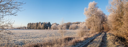 Rural road and field covered with hoarfrost against a blue sky. Country landscape.の写真素材