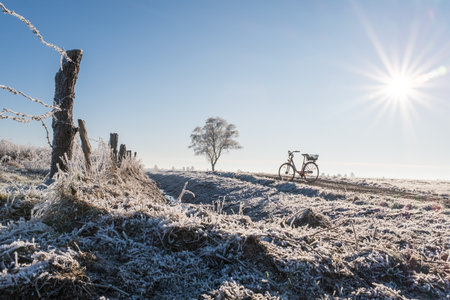 Fields covered with hoarfrost and a bike standing on a rural road on a sunny winter morning. Active recreation.の写真素材